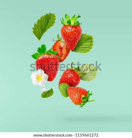 Flying Fresh tasty ripe strawberry with green leaves at turquoise background.  Food levitation concept. Creative food layout, High resolution image