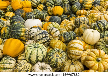 Yellow, green and white striped pumpkin stand