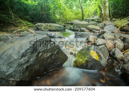 Stream in the middle of Jungle