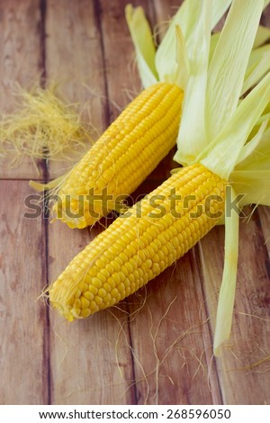 Fresh sweet corn ears