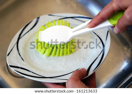 dish brush
