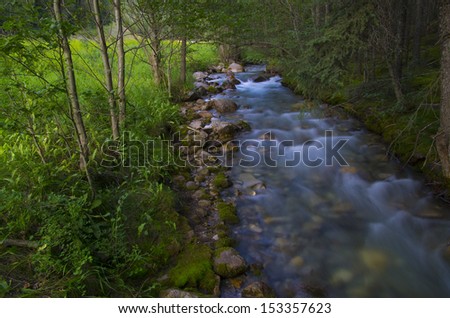 Creek in Mountains running through lush green forest.  Redstreak Creek in Kootenay National Park, British Columbia, Canada