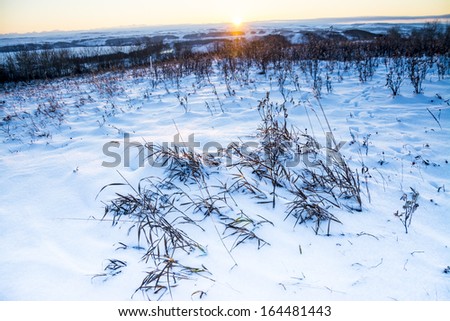 Winter Landscape at Glenbow Ranch Provincial Park, Alberta, Canada. Glenbow ranch is a historic ranch which has been converted into a natural reserve park near Calgary and Cochrane, Alberta, Canada