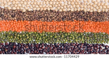 Close up of legumes arrangement (from below: soy beans, small lentils, red lentils, green beans, azuki beans).
