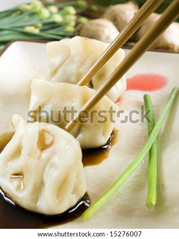 Chinese vegetarian dumplings (stuffed with soy meat substitute and vegetables) on soy sauce and a bitter-sweet sauce. Focus on second dumpling and chopsticks.