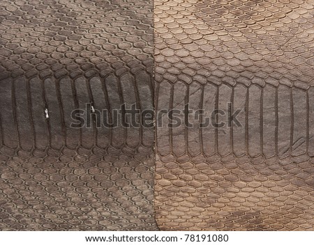 Leather background in two colors in two different shades of brown