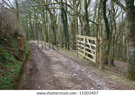 Open gate on a country path