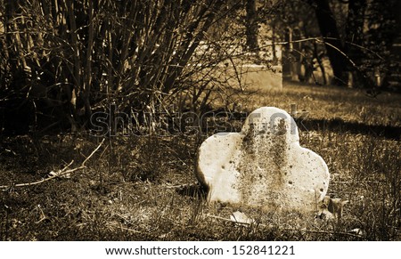 Dramatic picture of a grave going out of ground in sepia