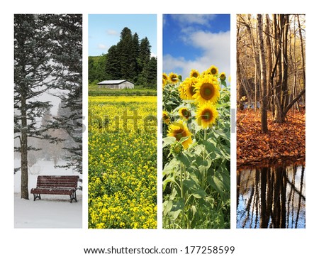 Collage showing pictures of four season