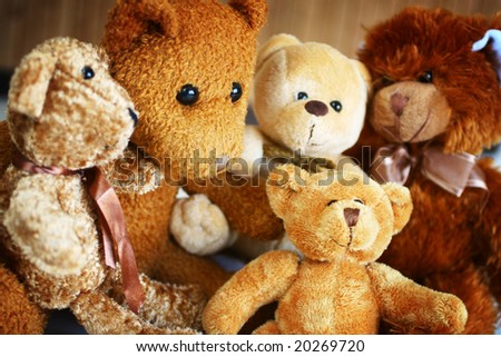 Family of teddy bear