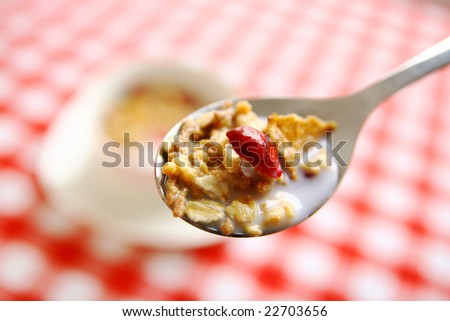 VIew of spoon full of cereals