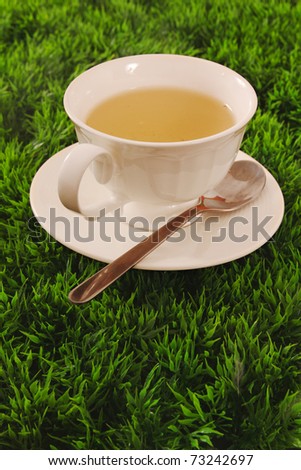 Herbal tea in a cup with spoon on grass background