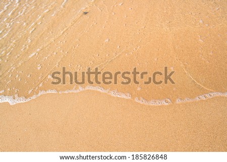 sand ground on beach in the sea.