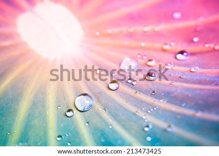 blur and soft focus of water drops on lotus leaf with vintage color background