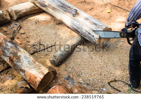 carpenter use Saw blade for cutting timber