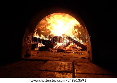 A beautiful wood fired oven with focus on fire.