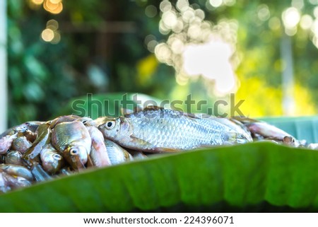 Fresh fish on banana leaf