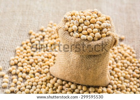 soybeans in sack bags with pile of soybeans on a sackcloth