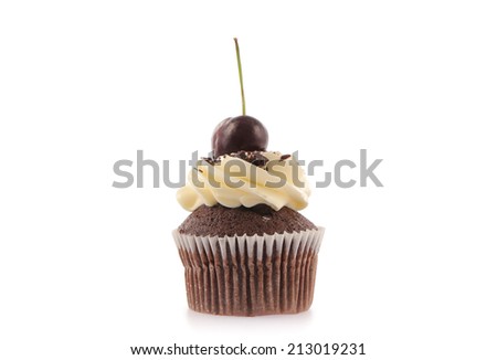 Chocolate Cupcakes isolated on a White Background