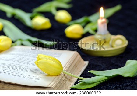 Background with tulips old book and candle