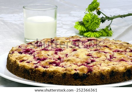 Currant souffle with a glass of milk and green plants