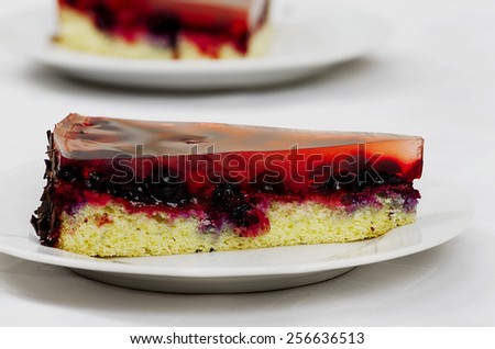 Fruit jelly cake with forest fruits on the table