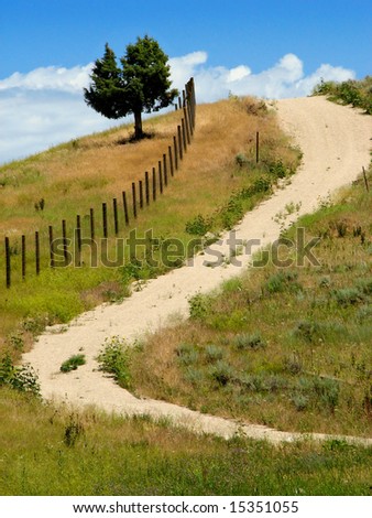 Winding country lane on clear summer day - portrait orientation