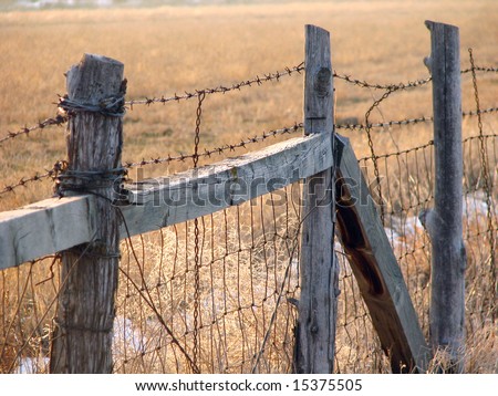 Country barbed-wire fence