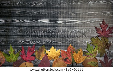 Autumn Holiday Thanksgiving Background