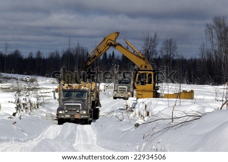 Boreal Forest Logging