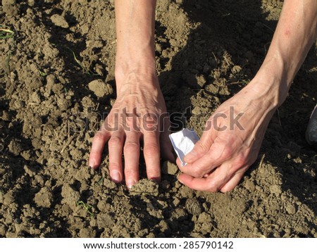 Woman planting seeds in the field form small paper bag