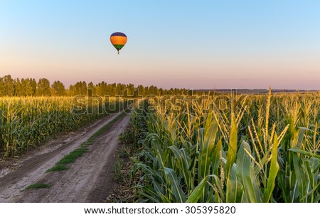 Balloon over the green field