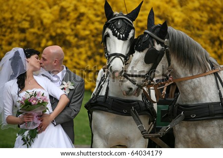 wedding couple with horses