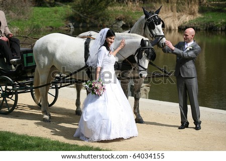 wedding couple with horses