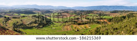 Plantation fields near Vallbona de les Monges in Tarragona province, Catalonia, Spain