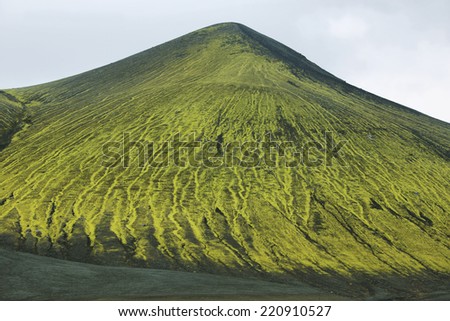 Majestic mountain covered with moss in Iceland highlands