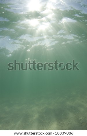 Underwater view of sunbeams stream through the surface of the ocean and dancing on the floor of the sea on a bright sunny day.
