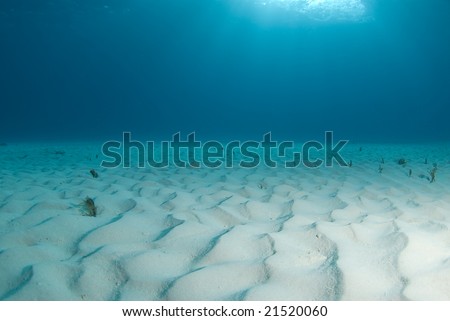 ocean floor. sand on the ocean floor at
