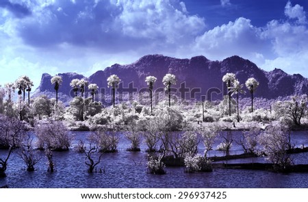 Infrared landscape. Lake and trees  Thailand taken in Near Infrared