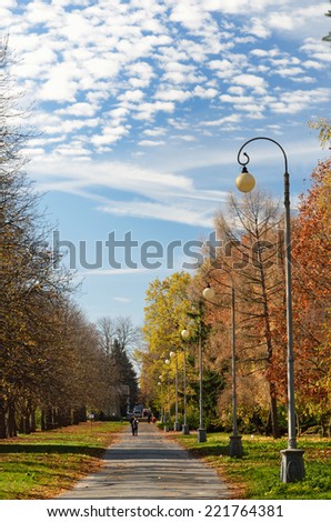 A straight wide alley is photographed with diminishing perspective in the autumnal park.