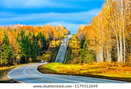Autumn forest road landscape. Mountain forest road in autumn. Autumn road in autumn mountain forest scene