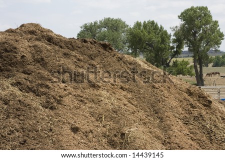 Organic Compost Pile