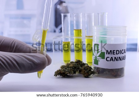 Testing marijuana buds for the extraction of medicinal oil