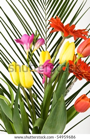 Bunch on beautiful fresh spring flowers on white background