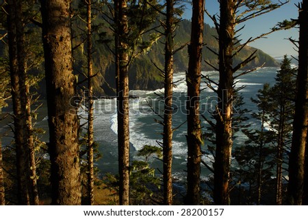 View of the Oregon coast seen through the trees.
