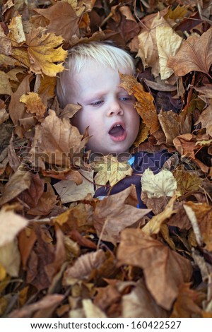 A little boy lies in leaf pile