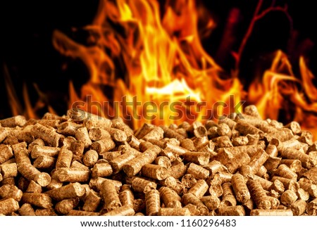 burning wood chip pellets a renewable source