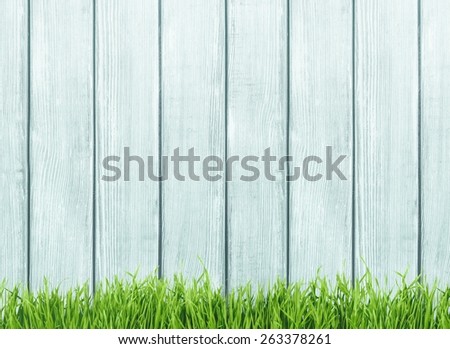 Agriculture. Fresh spring green grass and leaf plant over wood fence background