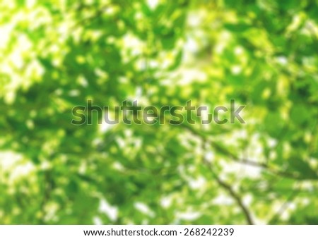 Finger. Smiley on hands against green spring background. Family having fun outdoors