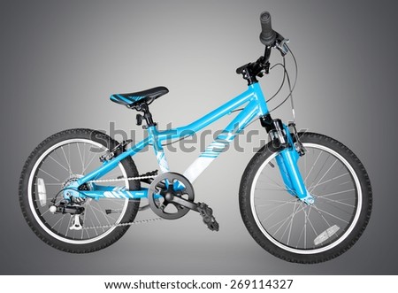 Bicycle. Mountain Bicycle